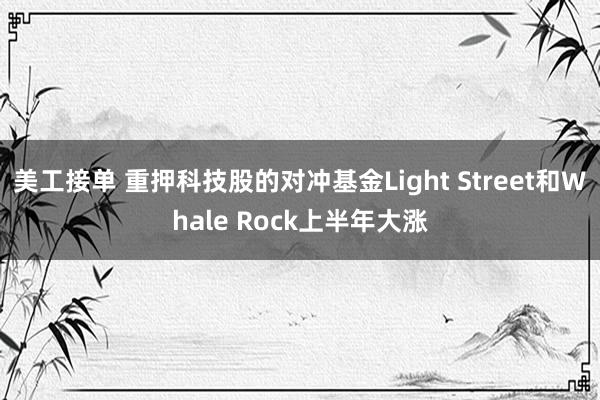 美工接单 重押科技股的对冲基金Light Street和Whale Rock上半年大涨